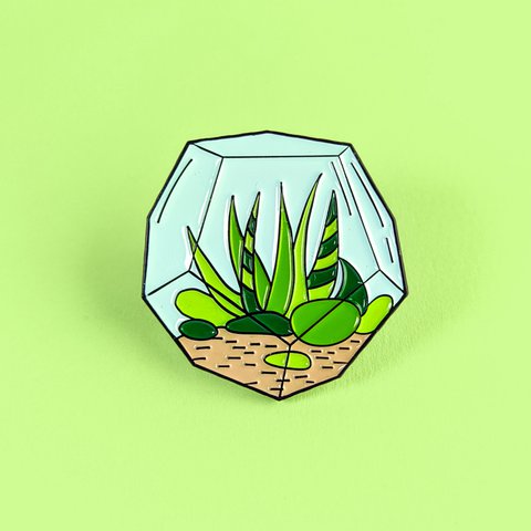 Terrario Aloe Vera